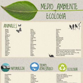 Ecología y medio ambiente